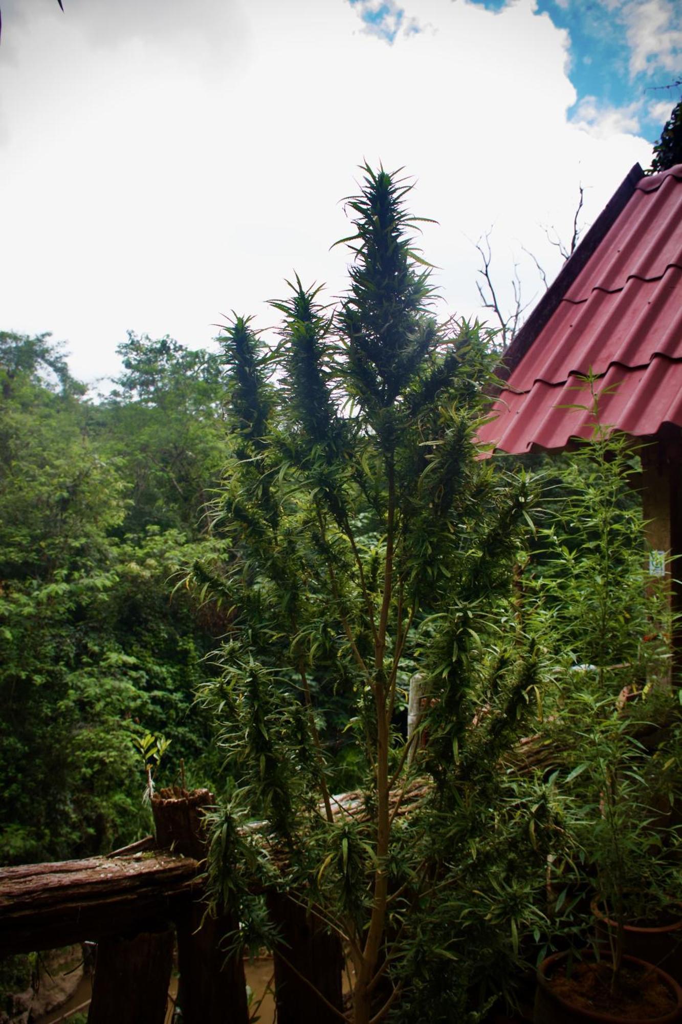 Aerie Lodge Pang Mapha Ngoại thất bức ảnh
