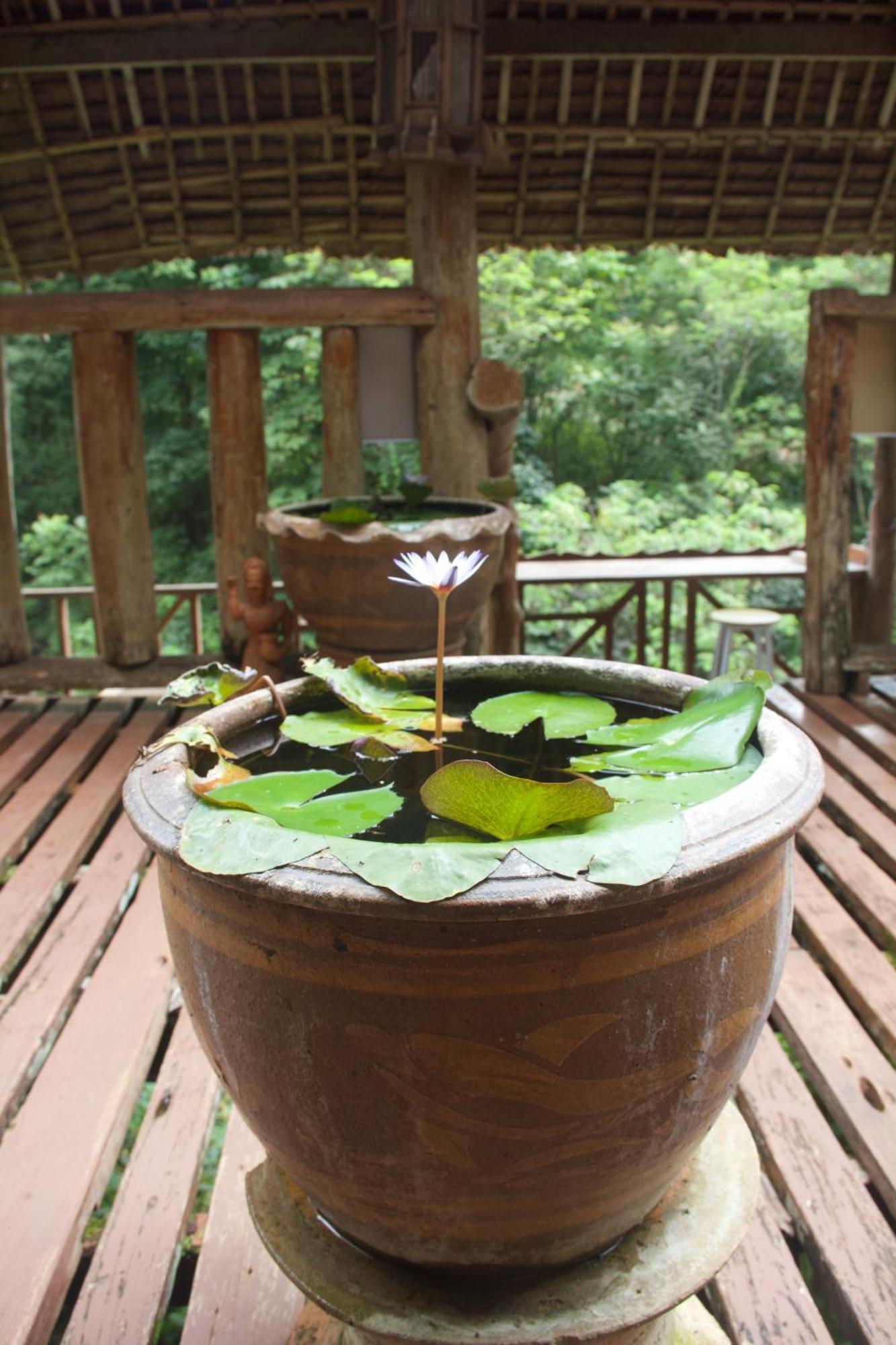 Aerie Lodge Pang Mapha Ngoại thất bức ảnh