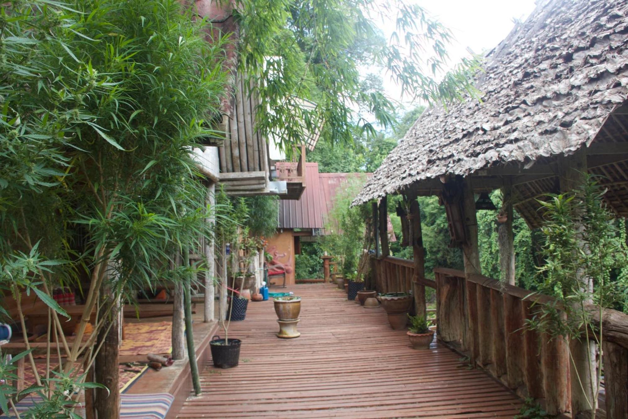 Aerie Lodge Pang Mapha Ngoại thất bức ảnh