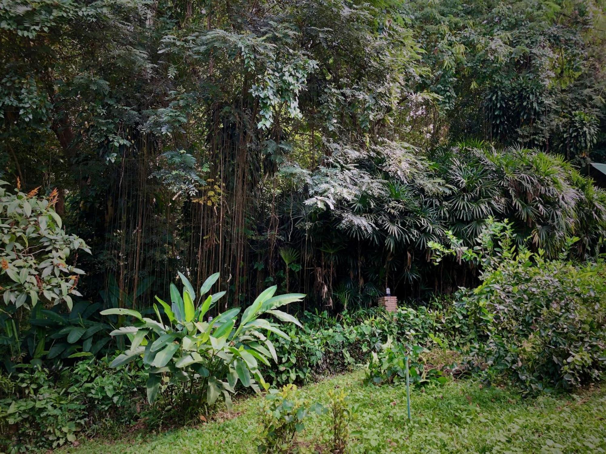 Aerie Lodge Pang Mapha Ngoại thất bức ảnh